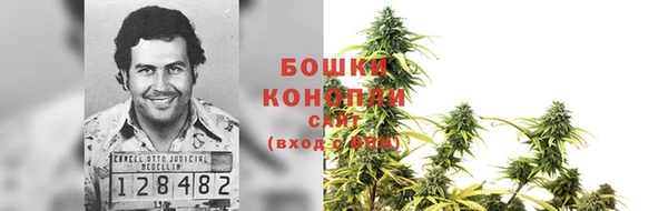 шишки Алексин