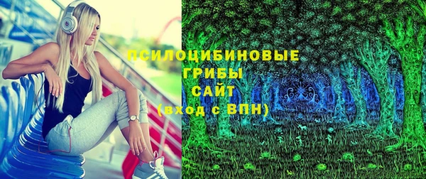 прущие грибы Алексеевка
