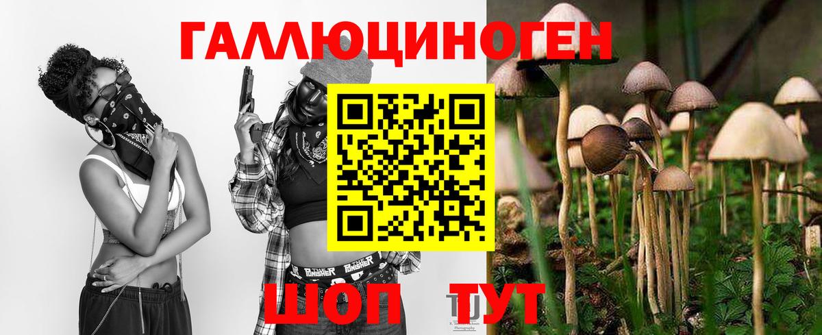 Псилоцибиновые грибы GOLDEN TEACHER Лобня
